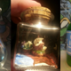 Image for article titled Meet The Guy Who Hides Zelda Treasures Around Austin, Texas